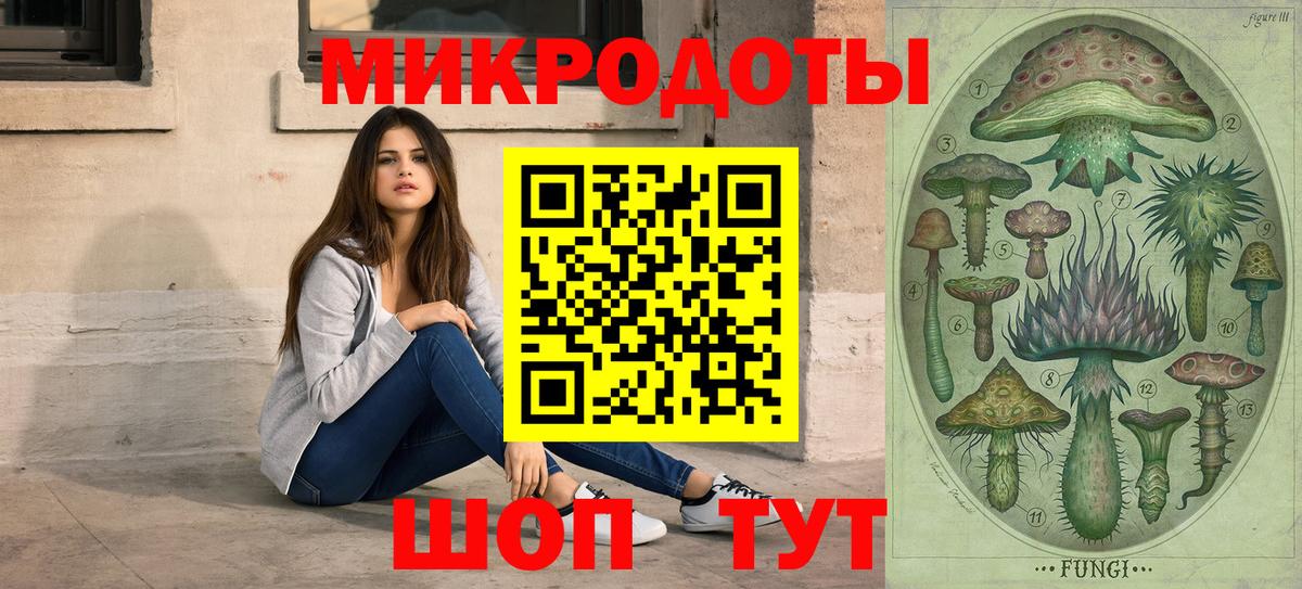 Галлюциногенные грибы Psilocybe Балашиха